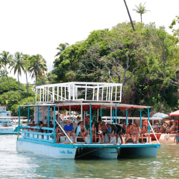 Passeio de Catamarã em Carneiros