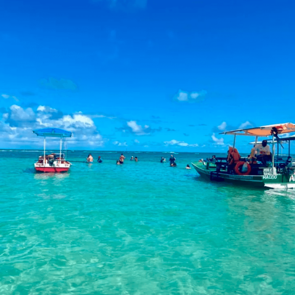 Transfer Recife / São Miguel dos Milagres