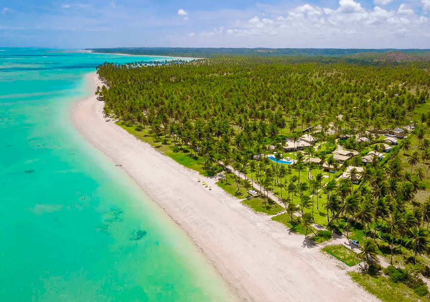 Praia do Patacho (Transfer)